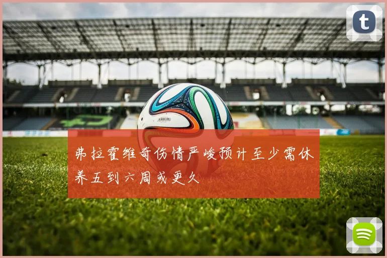弗拉霍维奇伤情严峻预计至少需休养五到六周或更久