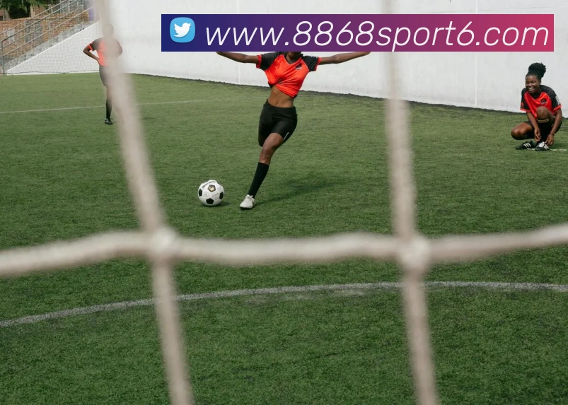 多媒体互动体验